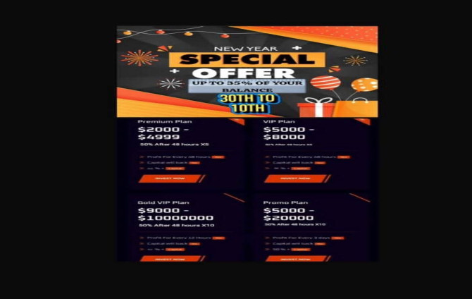 ABOUT THE NEW YEAR PROMO